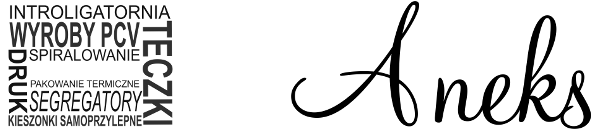 ANEKS Logo